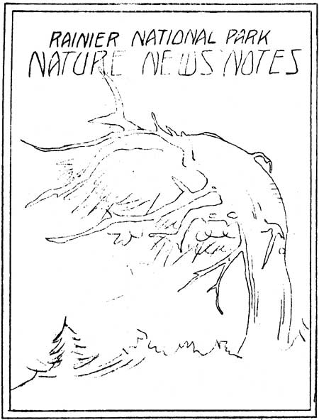 issue cover