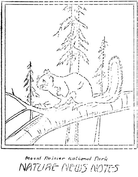 issue cover
