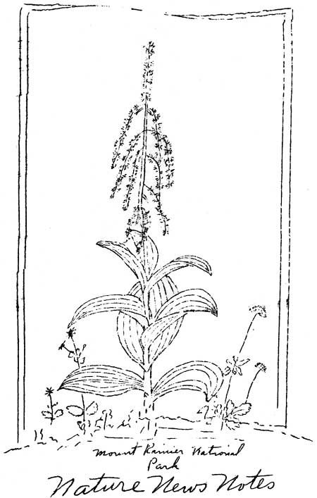issue cover