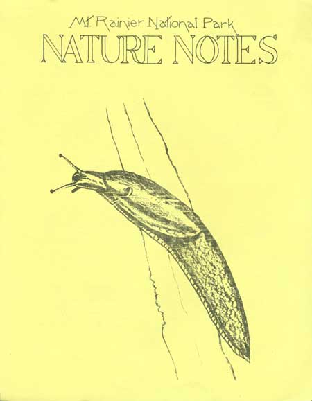 issue cover