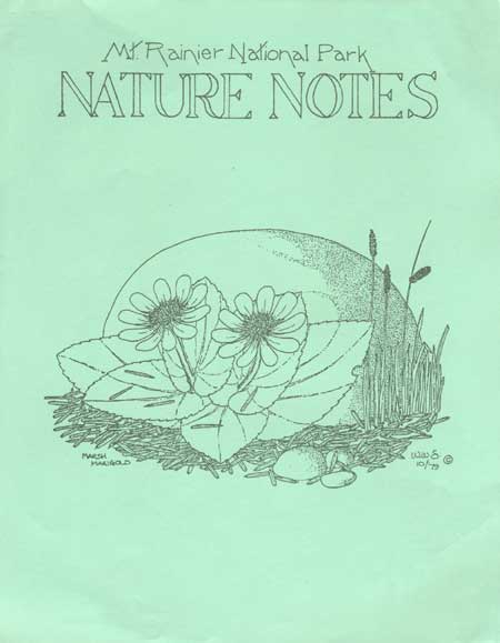 issue cover