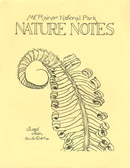 issue cover