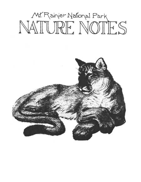 issue cover