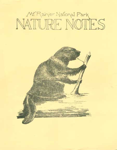 issue cover