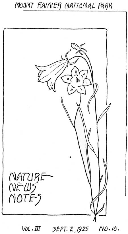 issue cover