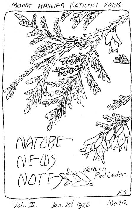 issue cover