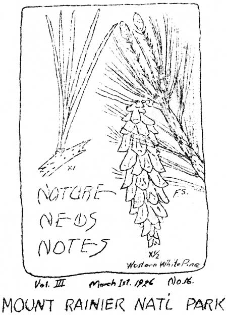 issue cover