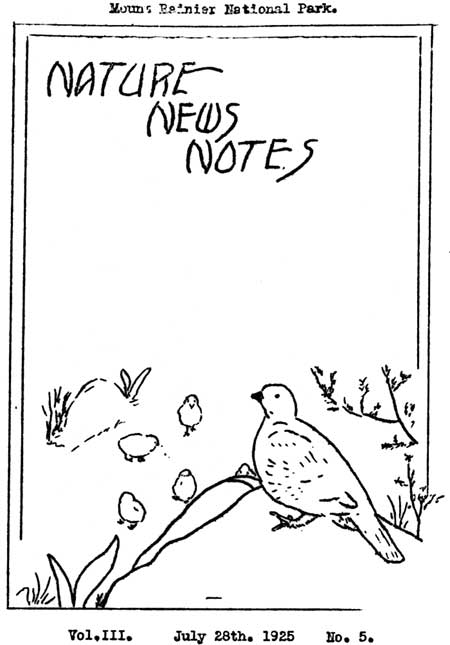 issue cover