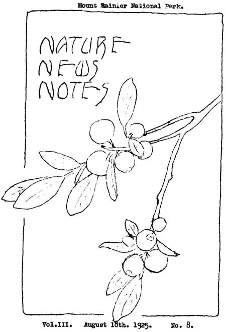 issue cover
