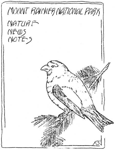 issue cover