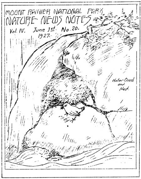 issue cover