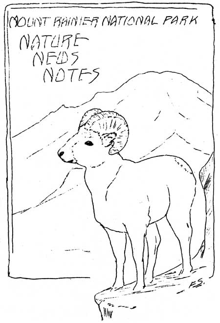 issue cover