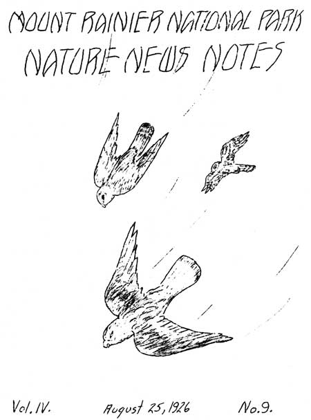issue cover