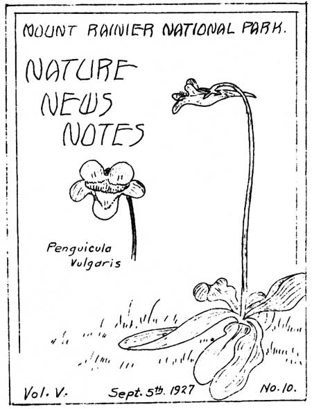 issue cover