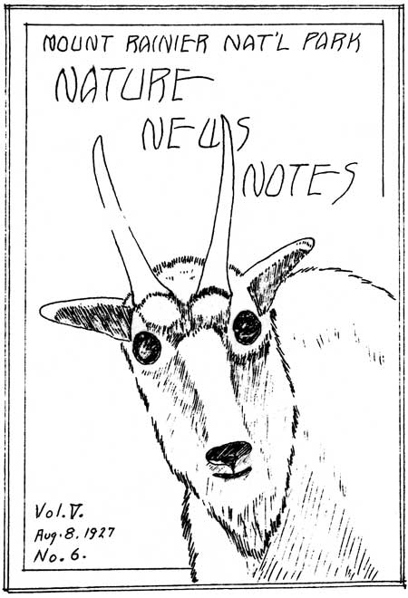 issue cover