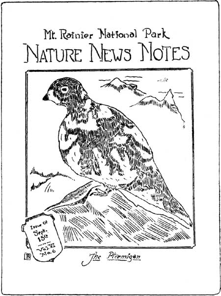 issue cover