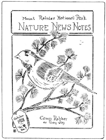 issue cover