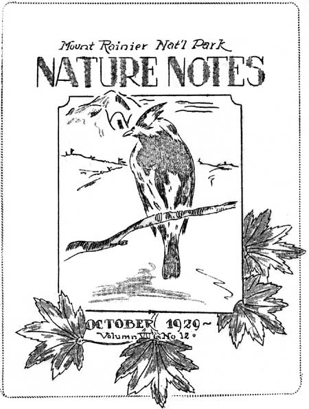issue cover