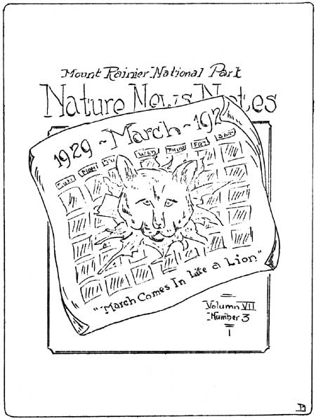 issue cover