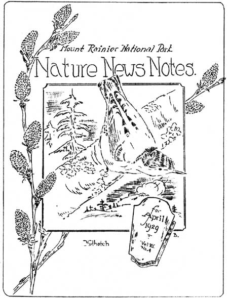 issue cover