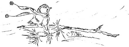 sketch of bird