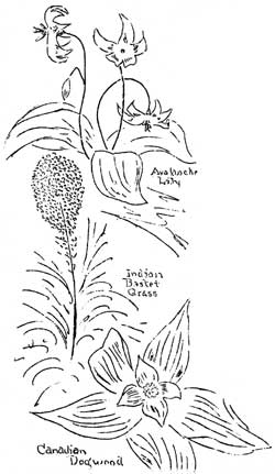 wildflowers