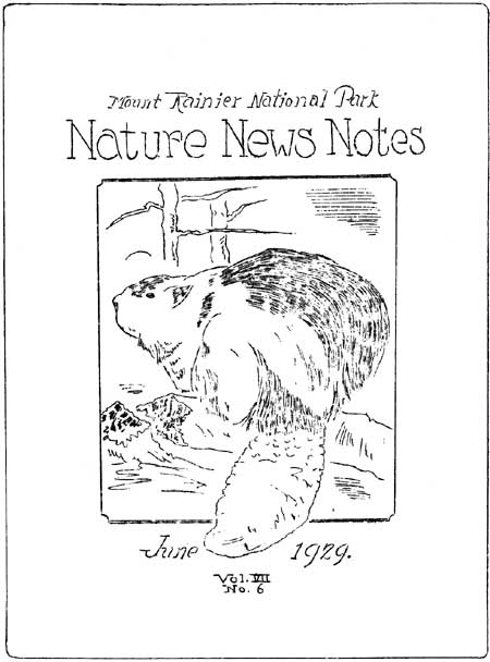 issue cover