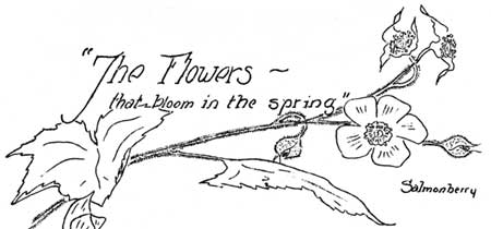 The Flowers that bloom in the spring