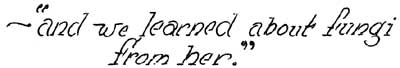 'and we learned about fungit from her.'
