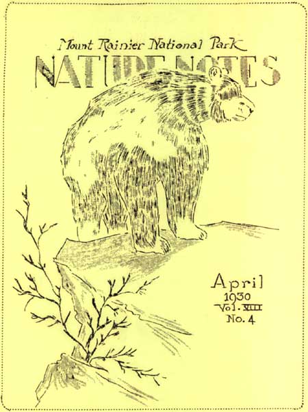 issue cover