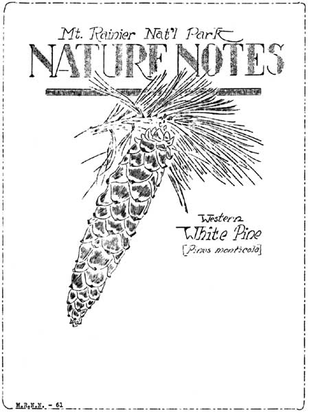 issue cover