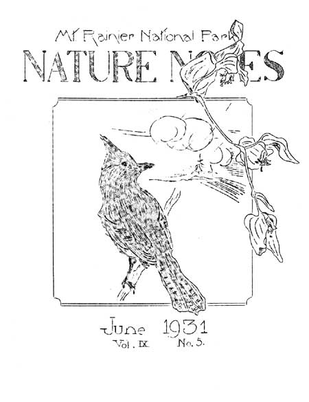 issue cover