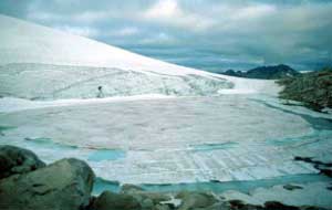 Wiley Lake