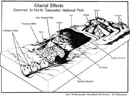 sketch of Glacier Effects common to North Cascades NP