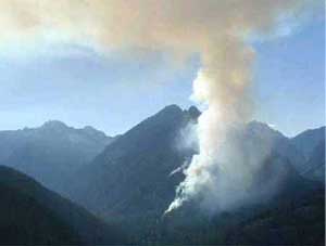wildfire