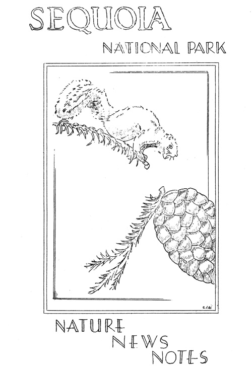 issue cover