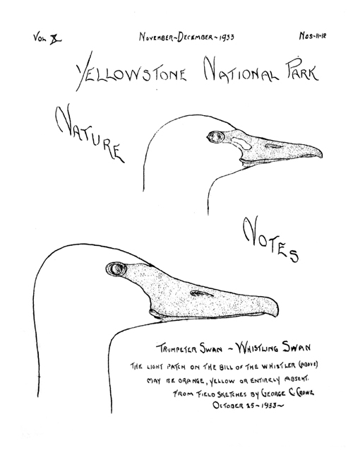 issue cover