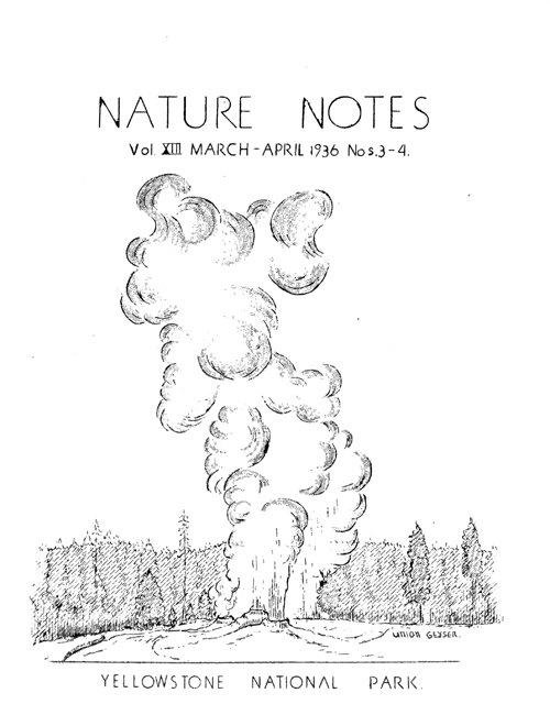 issue cover