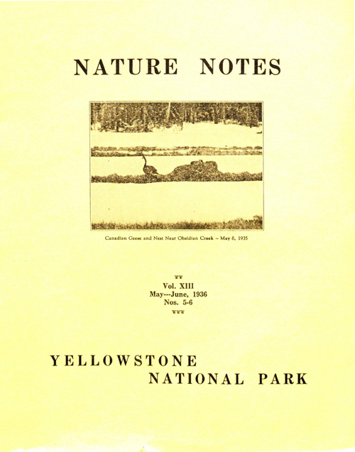 issue cover