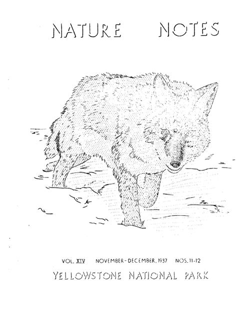 issue cover