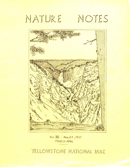 issue cover