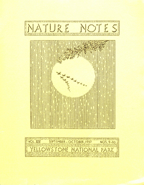 issue cover