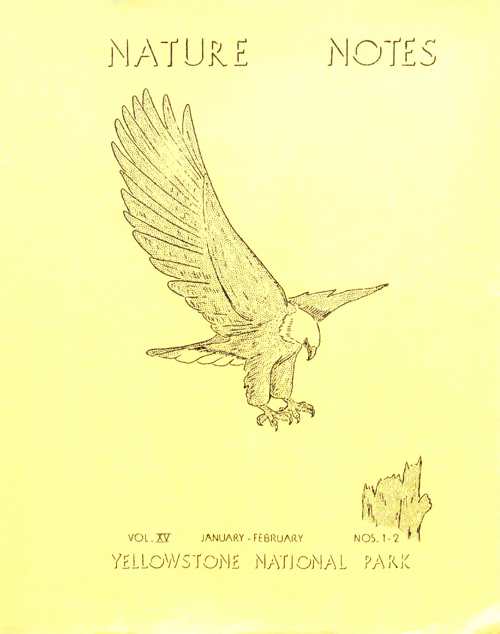 issue cover