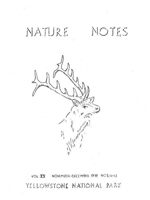 issue cover