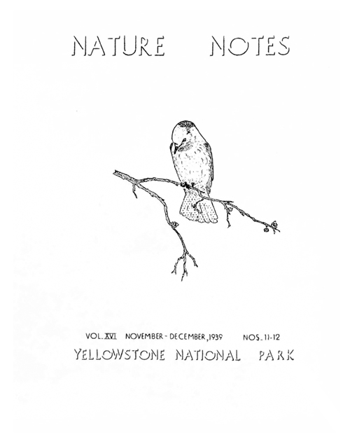 issue cover