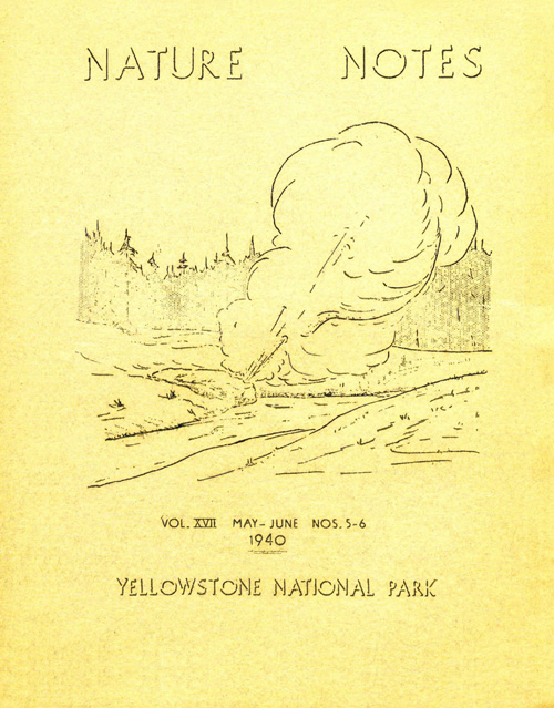 issue cover