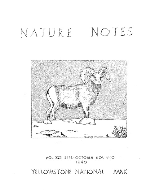 issue cover