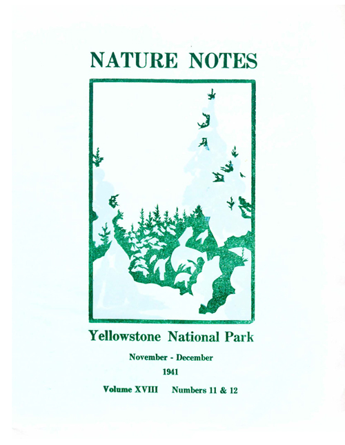 issue cover