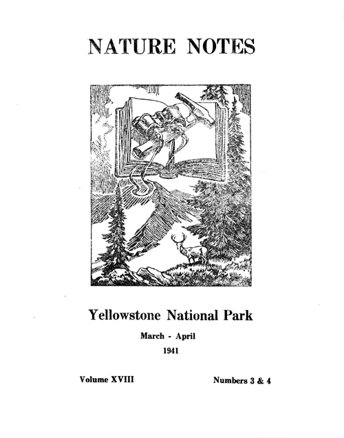 issue cover
