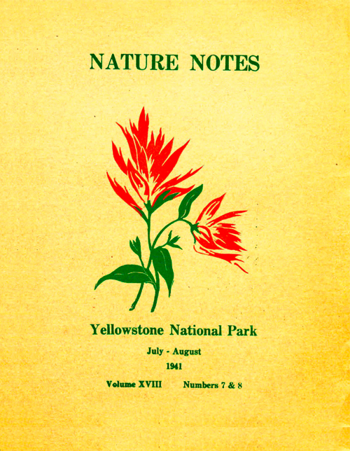 issue cover